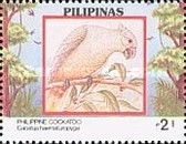 Red-vented Cockatoo (Cacatua haematuropygia)