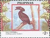 Sulu Hornbill (Anthracoceros montani)