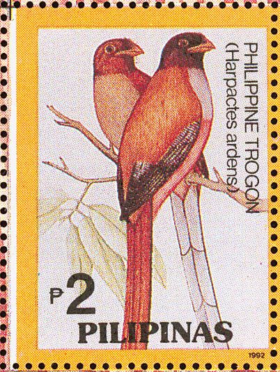 Philippine Trogon (Harpactes ardens)