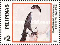 Philippine Falconet (Microhierax erythrogenys)