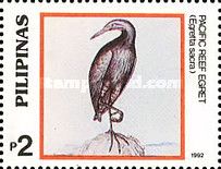 Pacific Reef Heron (Egretta sacra)