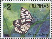 Jezebel Butterfly (Delias diaphana)