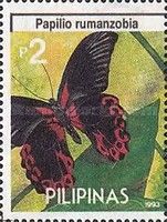 Red Mormon (Papilio rumanzobia)