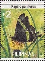 Emerald Swallowtail (Papilio palinurus)
