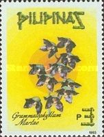 Grammatophyllum martae