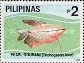 Pearl Gourami (Trichogaster leeri)