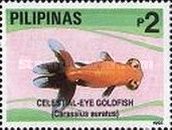 Celestial-Eye Goldfish (Carassius auratus)