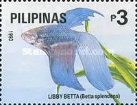 Libby Betta (Betta splendens)