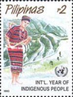 International Year of Indigenous People (Tribal Costumes)
