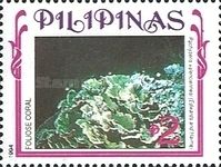 Elephant Skin Coral (Pachyseris valenciennesi)