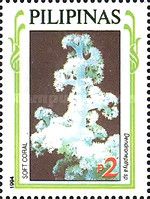 Carnation Tree Coral (Dendronephthya sp.)