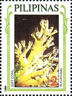 Pulsating Xenid (Heteroxenia fuscescens)