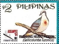 Luzon Bleeding-heart (Gallicolumba luzonica)