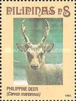 Philippine Deer (Cervus mariannus)