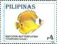 Raccoon Butterflyfish (Chaetodon lunula)