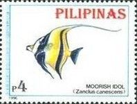 Moorish Idol (Zanclus canescens)