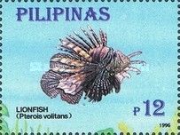 Red Lionfish (Pterois volitans)