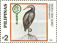 Pacific Reef Heron (Egretta sacra)