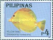 Yellow Tang (Zebrasoma flavescens)