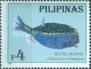 White-spotted Boxfish (Ostracion meleagris)
