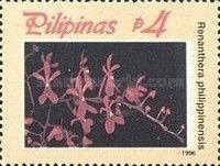 Renanthera philippinensis
