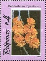 Dendrobium topaziacum