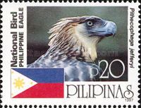 Philippine Eagle (Pithecophaga jefferyi)