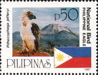 Philippine Eagle (Pithecophaga jefferyi)
