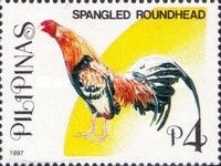 Spangled Roundhead (Gallus gallus domesticus)