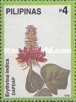 Erythrina indica