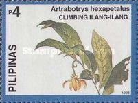 Artrabotrys hexapetalus