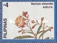 Nerium oleander