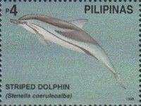 Striped Dolphin (Stenella coeruleoalba)