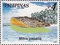 Pontifical Mitre (Mitra papalis)
