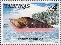 Dall's Volute (Teramachia dalli)