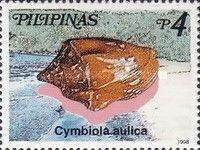 Princely Volute (Cymbiola aulica)