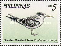 Greater Crested Tern (Sterna bergii)