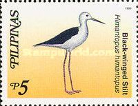 Black-winged Stilt (Himantopus himantopus)