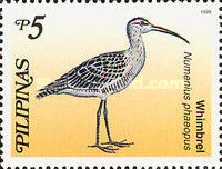 Whimbrel (Numenius phaeopus)