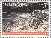 Painted Rock Lobster (Panulirus versicolor)
