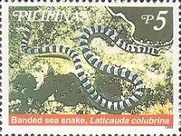 Yellow-lipped Sea Krait (Laticauda colubrina)