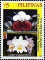 Orchids (Euanthe sanderiana), Cattleya Queen Sirikit