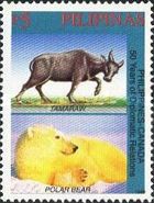 Tamaraw (Bubalus mindorensis), Polar Bear (Ursus maritimus)