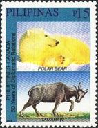 Tamaraw (Bubalus mindorensis), Polar Bear (Ursus maritimus)