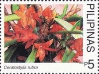 Ceratostylis rubra