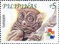 Philippine Tarsier (Carlito syrichta)