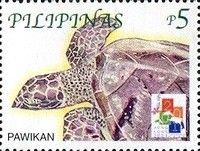 Hawksbill Turtle (Eretmochelys imbricata)