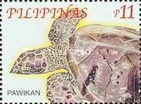 Pawikan