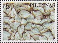 Coastal Resources Conservation