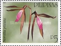 Nervilia plicata